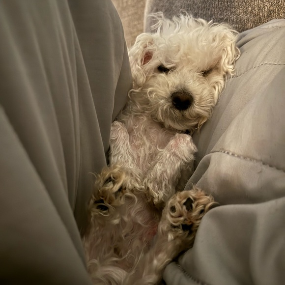 Ahoy, there! - Picture 4 of 6